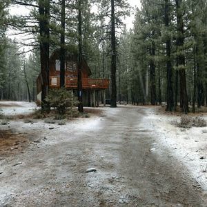 Meet your Posher, Darla